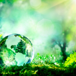 globo-de-vidrio-en-bosque