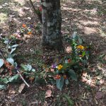 living_earth_charter_sculpture